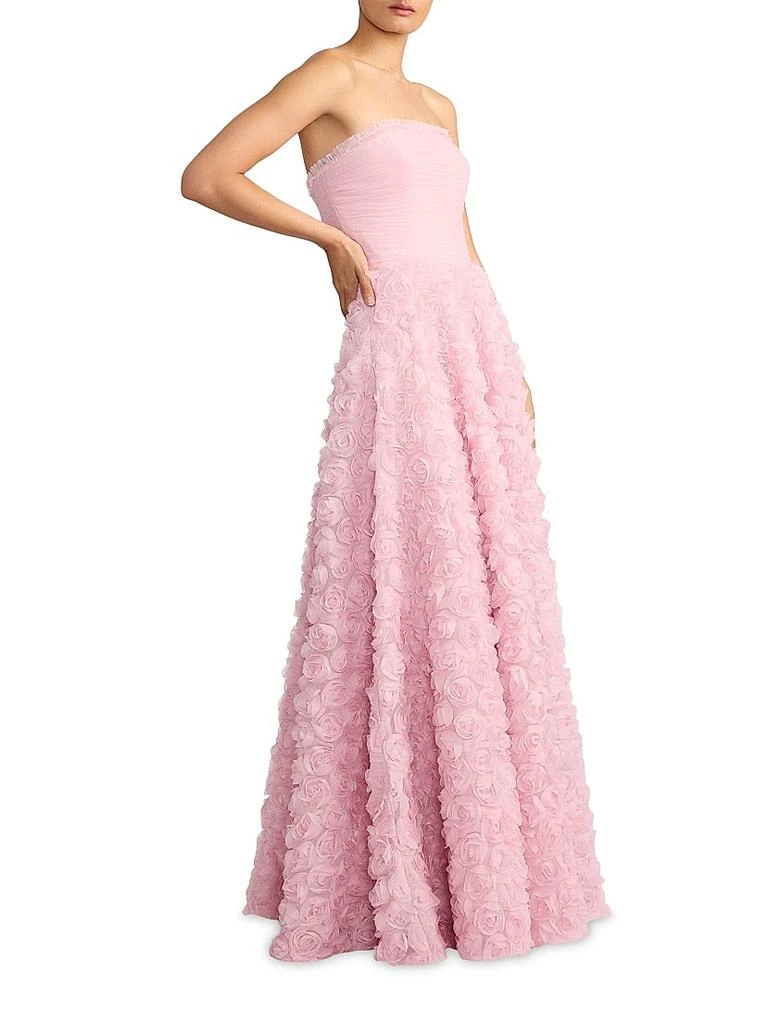 Zac Posen Wicked x Zac Posen Rose Appliqu Tulle Gown - Dresses & Skirts -  Free Shipping - BeyondStyle