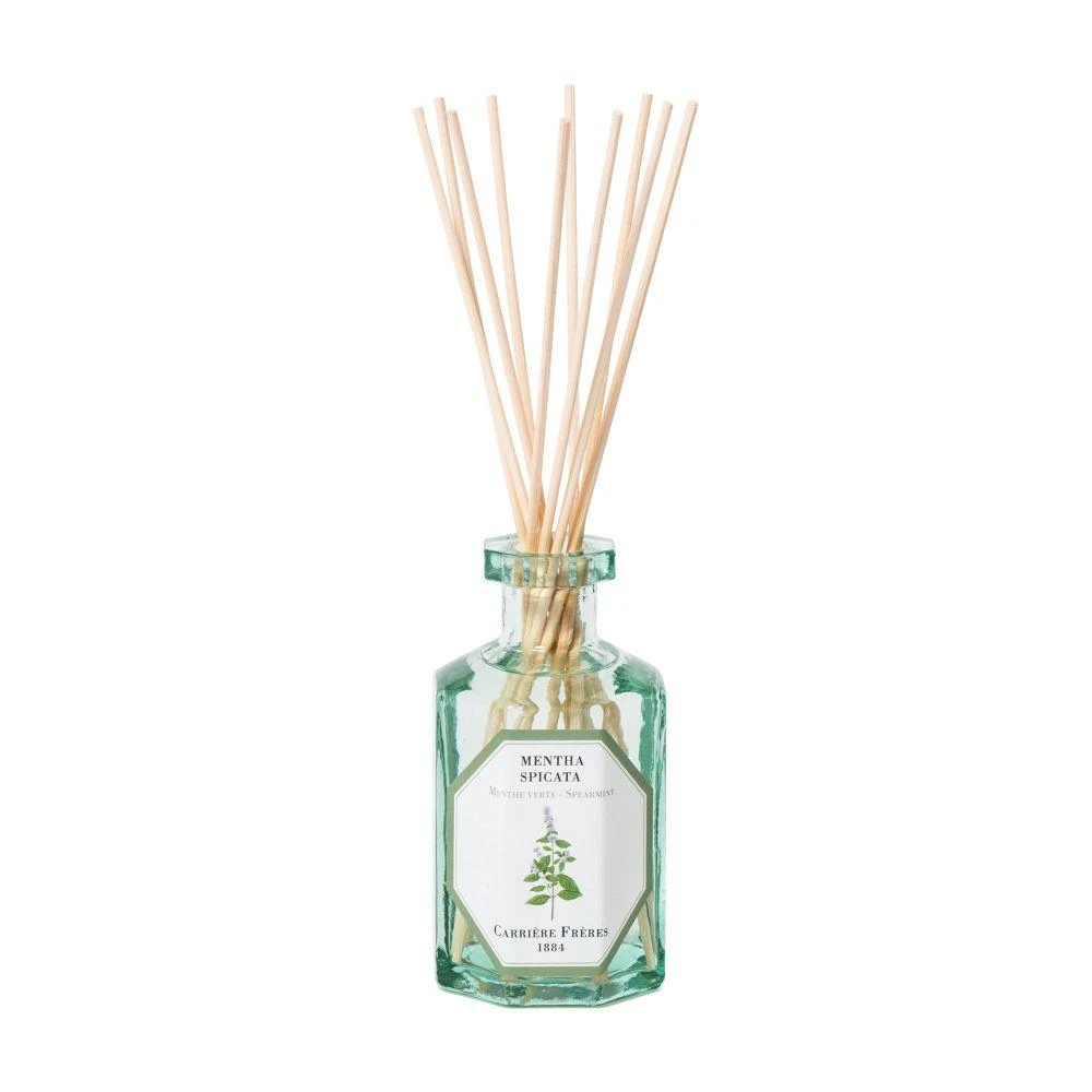 Carriere Freres Fragrance diffuser Spearmint - Mentha Spicata 200 ml 6