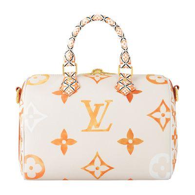 Louis Vuitton Speedy Bandoulière 25