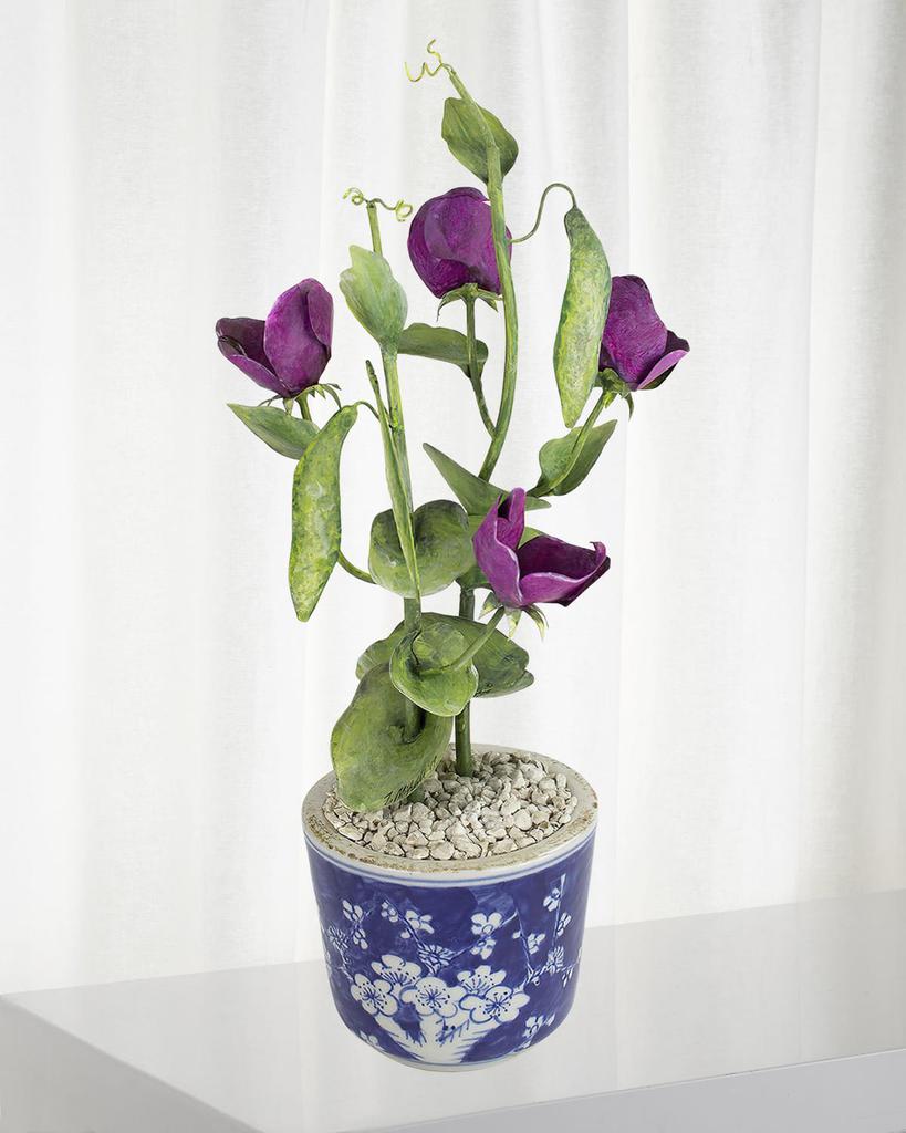Tommy Mitchell Sweet Pea April Birth Flower in Ceramic Pot