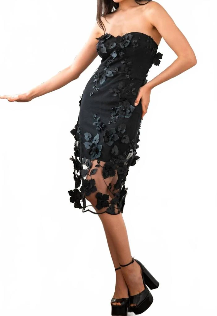 HELSI Audrey Embroidered Floral Applique Midi Dress - Dresses & Skirts -  Compare Prices from 9+ Stores - Free Shipping - BeyondStyle