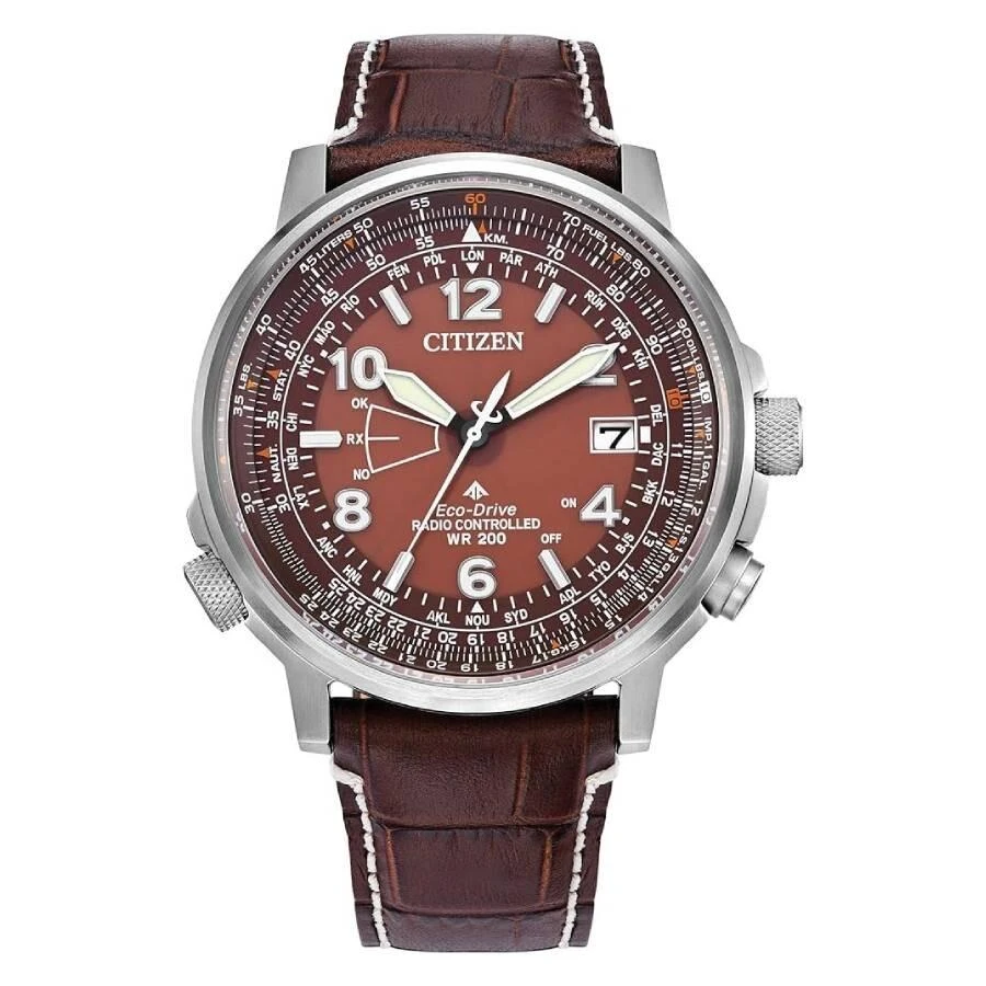 Citizen Promaster Sky Perpetual World Time Brown Dial Men
s Watch CB0248-01X