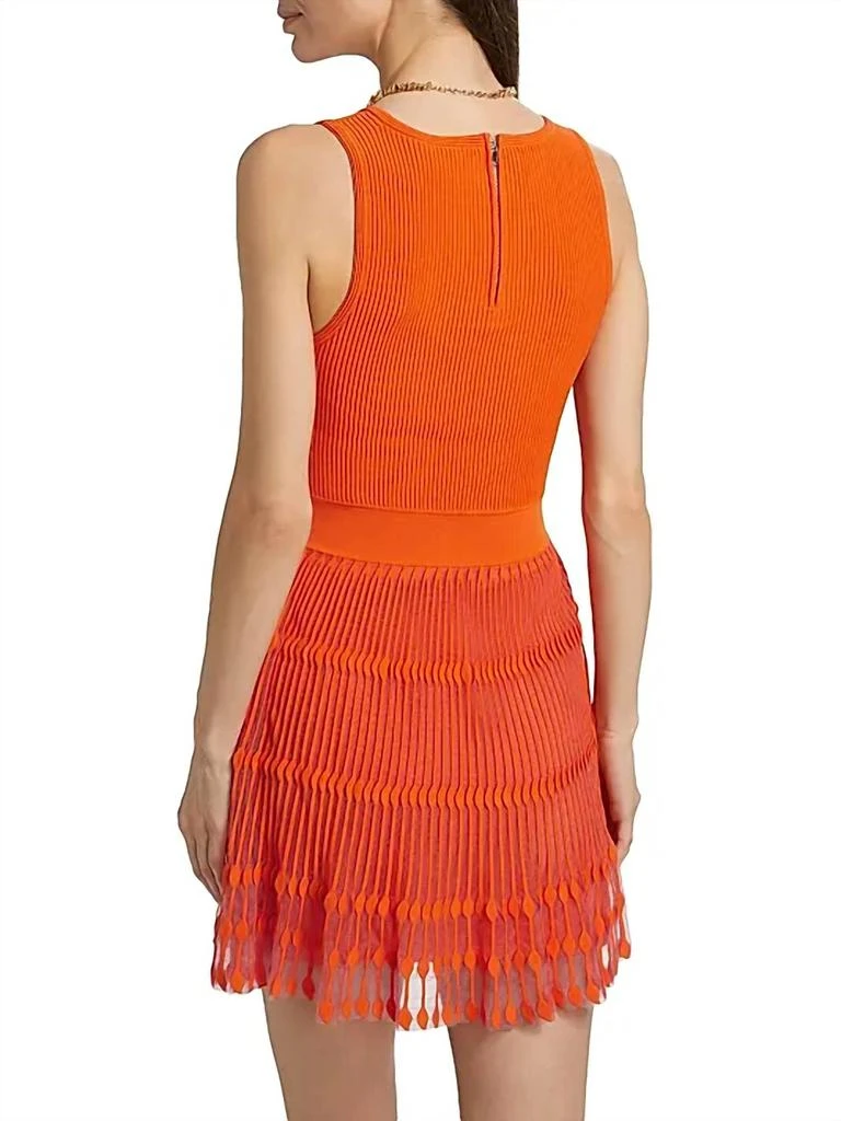 Milly Milly - Sheer Knit Flare Mini Dress 3