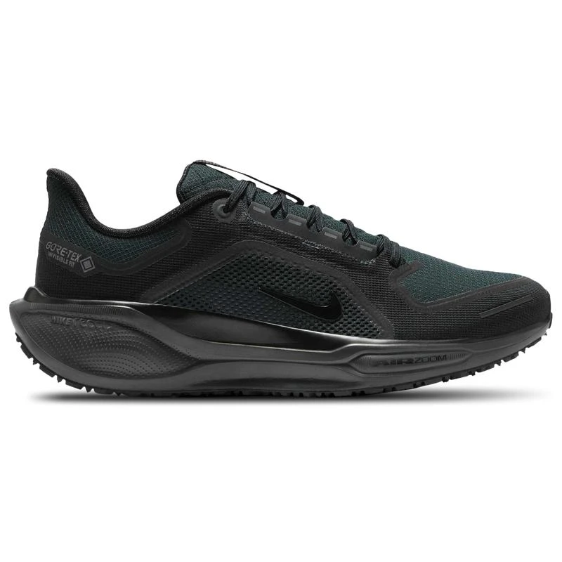 NIKE Nike Air ZOOM Pegasus 41 GTX - Men's 1