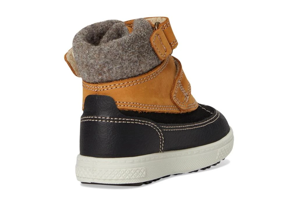 Primigi Kids PBZGT 68524 (Toddler/Little Kid) 5