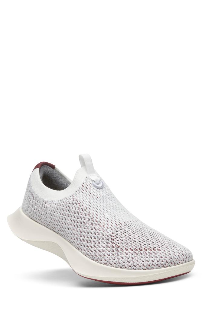 allbirds Tree Dasher Relay Sneaker