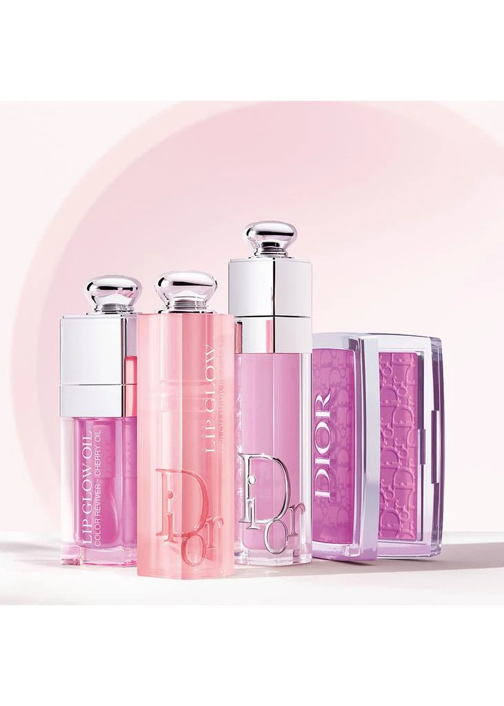 Dior Dior Addict Lip Maximizer Limited Edition 6