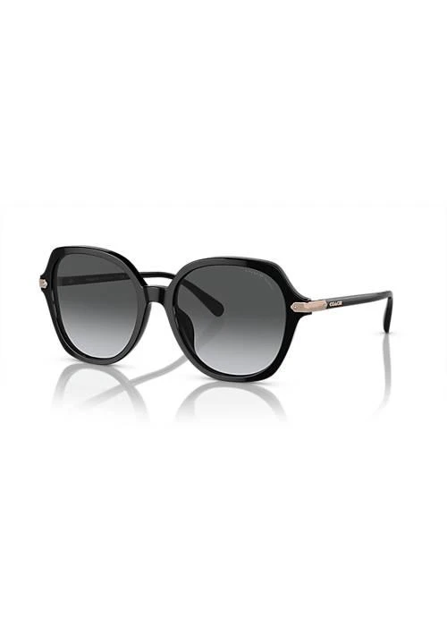 Coach Hc8377u Cl925 Polarized Sunglasses 1