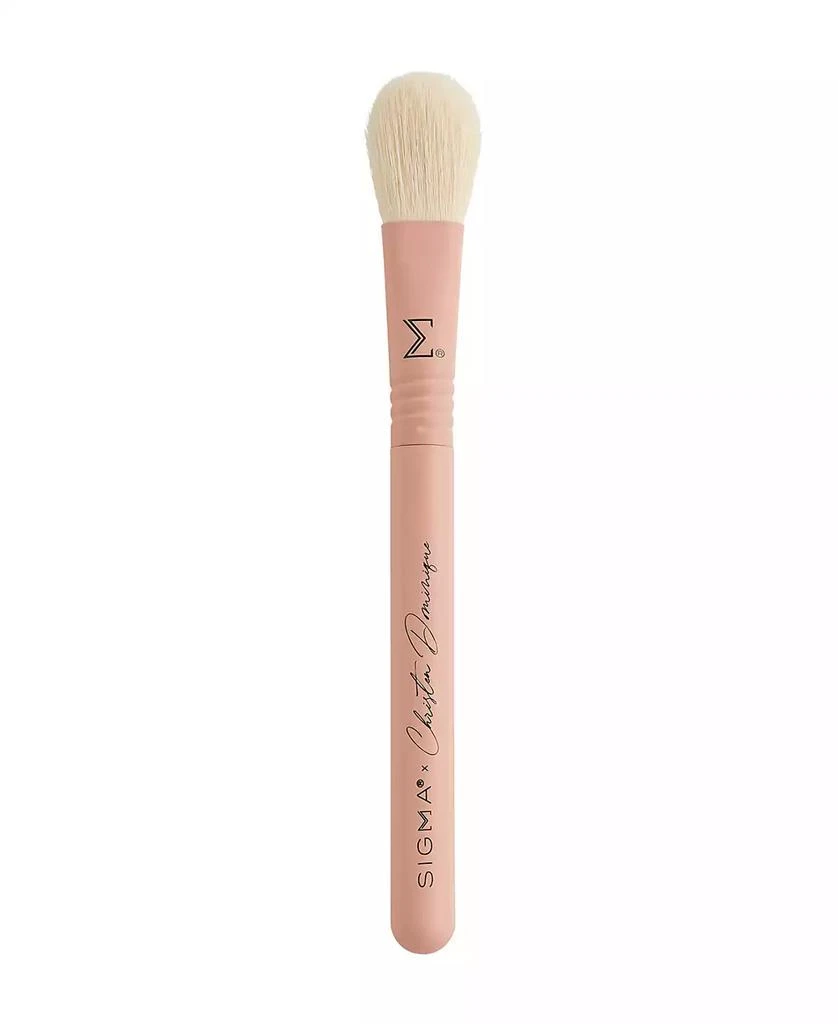 Sigma Beauty X Christen Dominique Brush Set 5