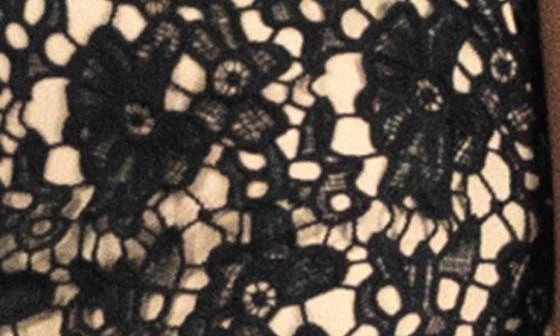 Nina Leonard Sleeveless Lace Dress 3