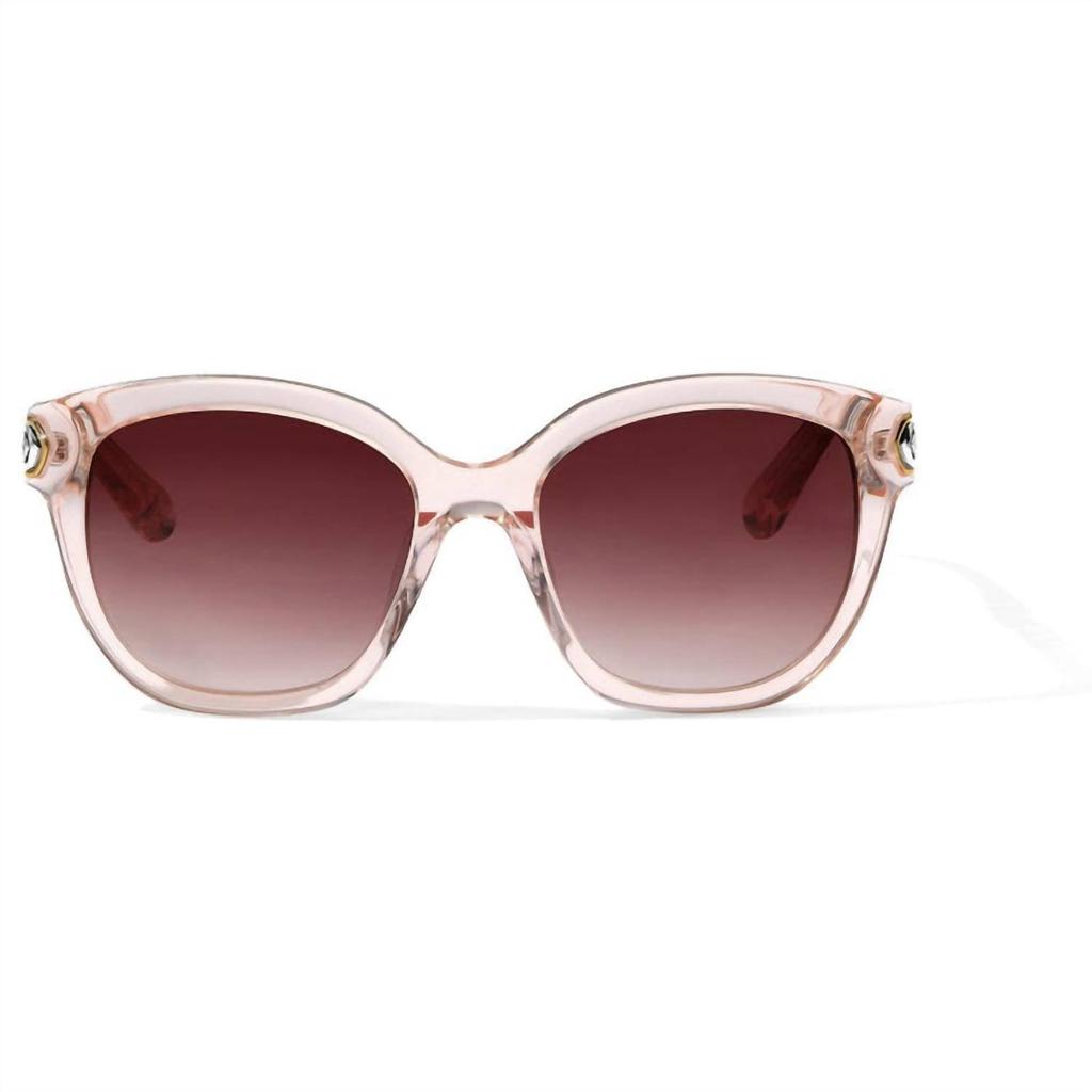 Brighton Brighton - Women's Intrigue Sunglass