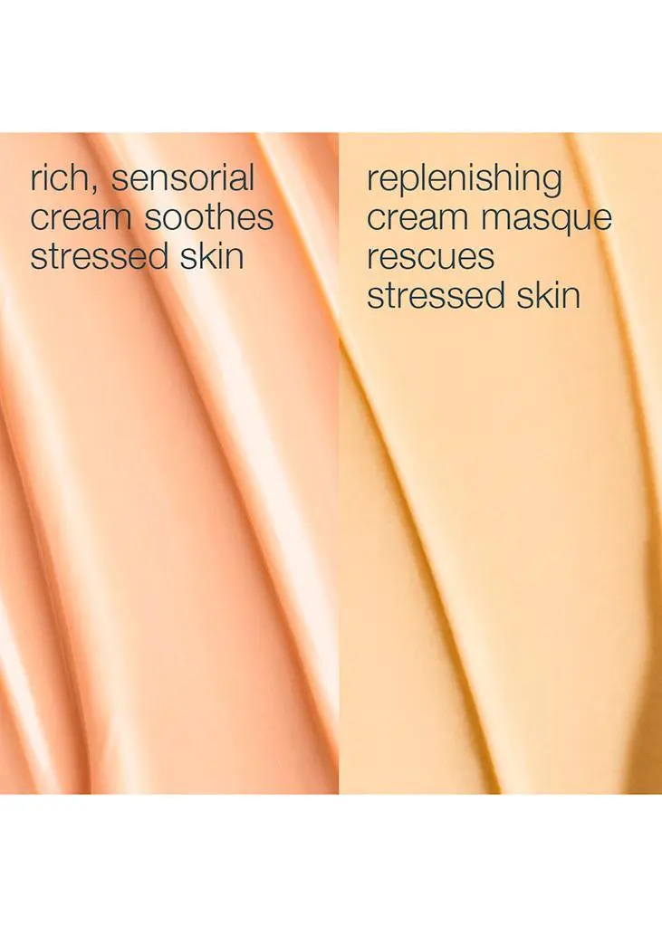 Dermalogica Stressed Skin Recovery System 3