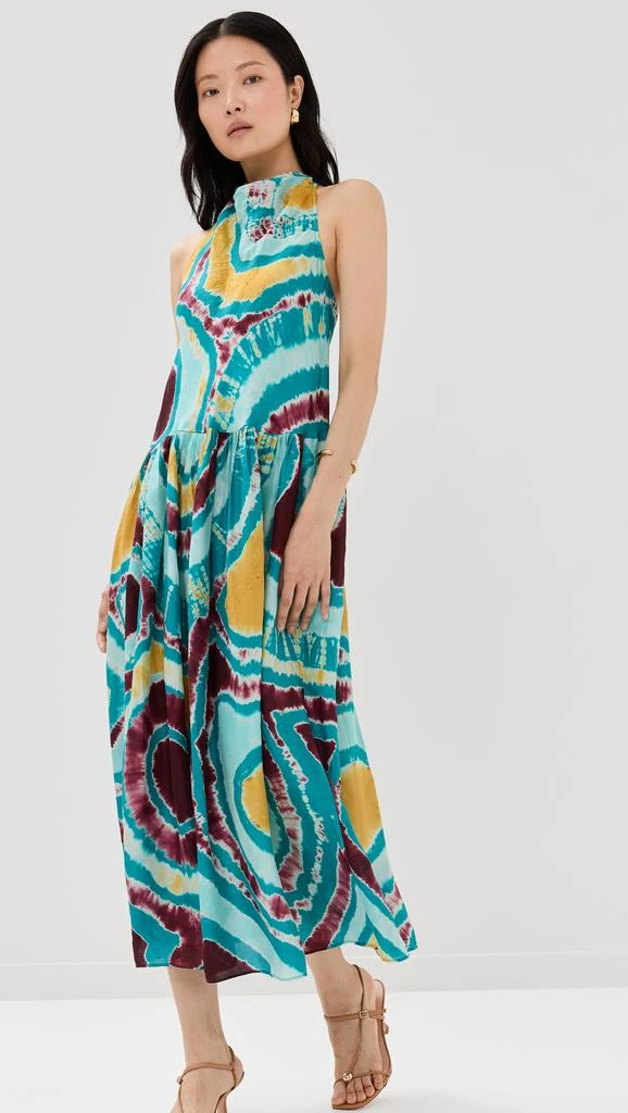 Ulla Johnson Assa Dress 1