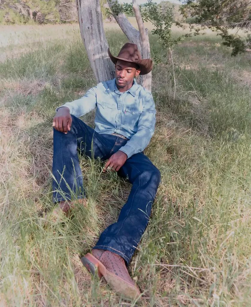 Levi
s Men
s Classic Standard Fit Western Shirt 3