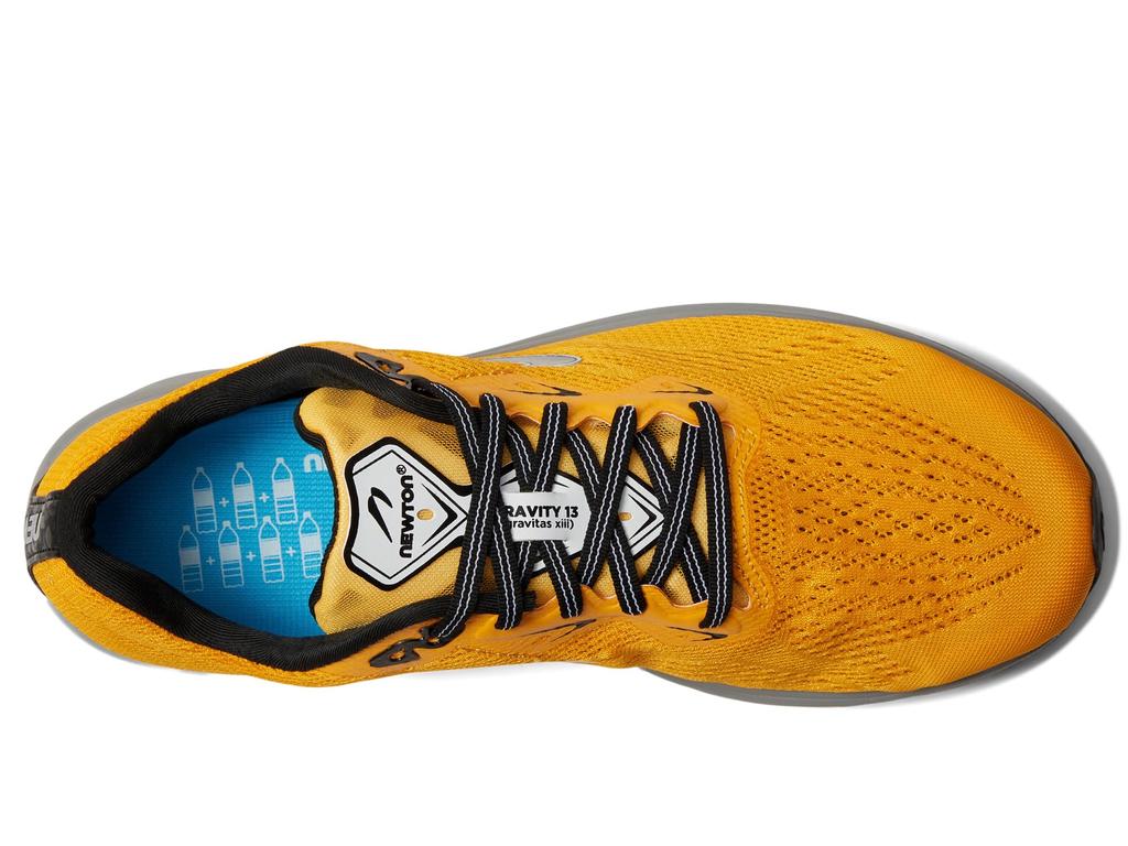Newton Running Gravity 13