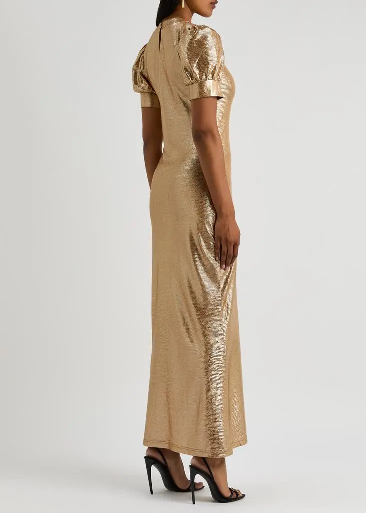 LUXE DE VALENTINA Como metallic-voile maxi dress 3