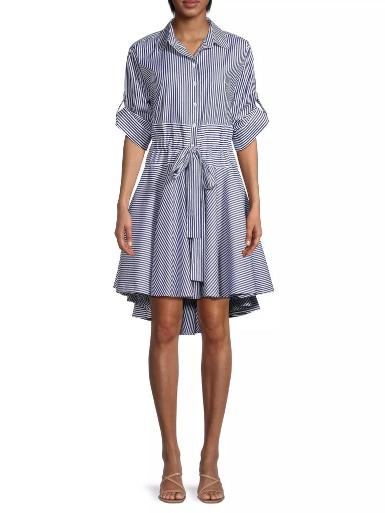Harshman Meadow Striped Shirtdress 3