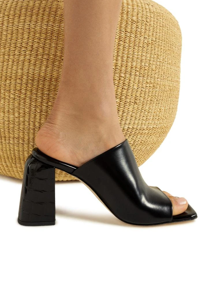 Dear Frances Deri Mule 5