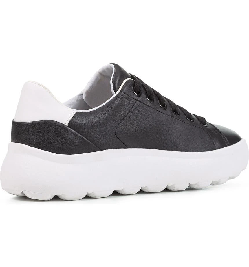 Geox Spherica Sneaker 6