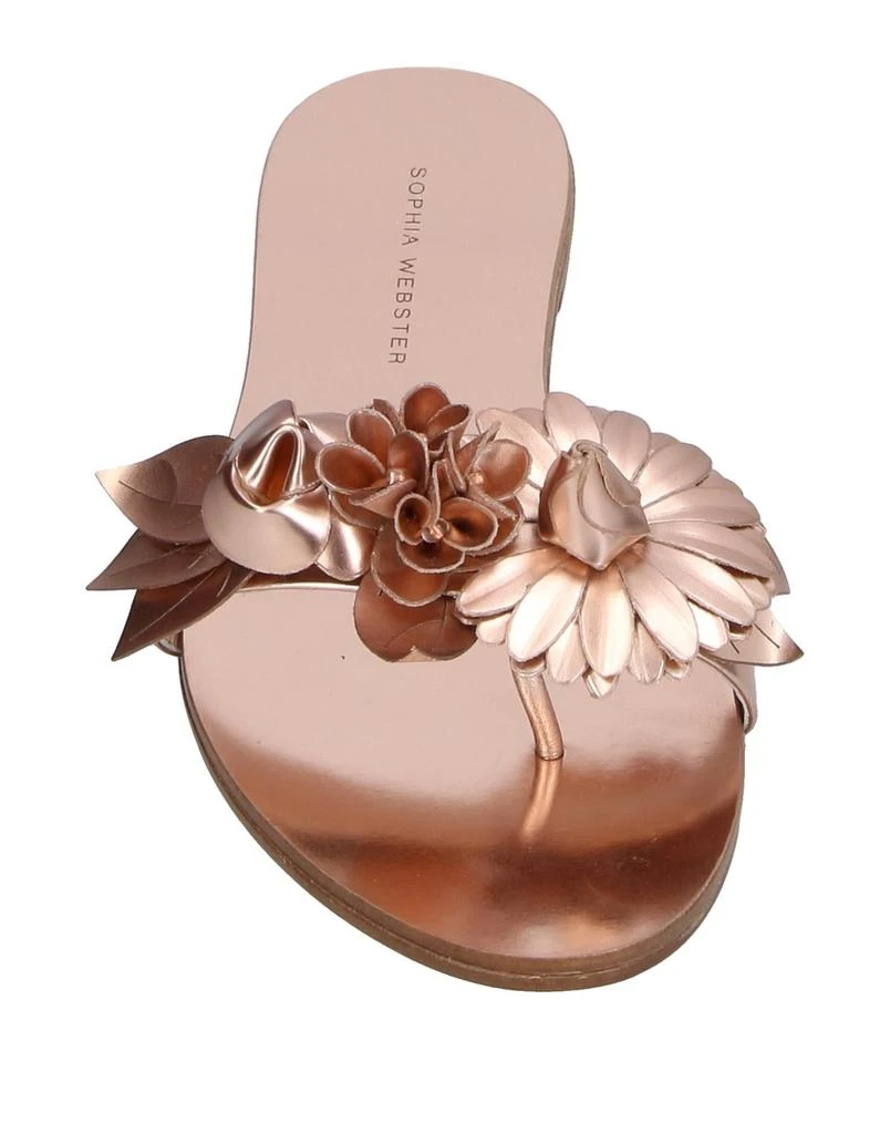Sophia Webster Flip flops 2