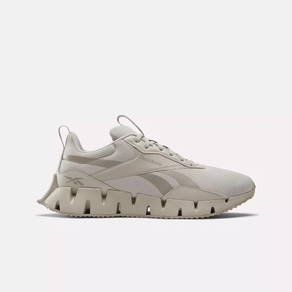 Reebok Zig Dynamica STR Shoes 1