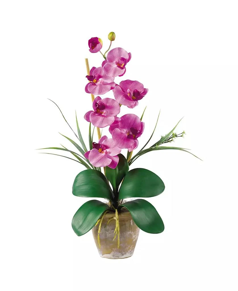 NEARLY NATURAL Phalaenopsis Silk Orchid Flower Arrangement 1