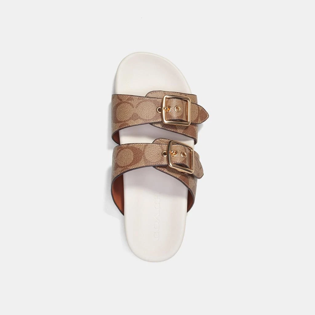 Coach Allanah Sandal In Signature Canvas 2