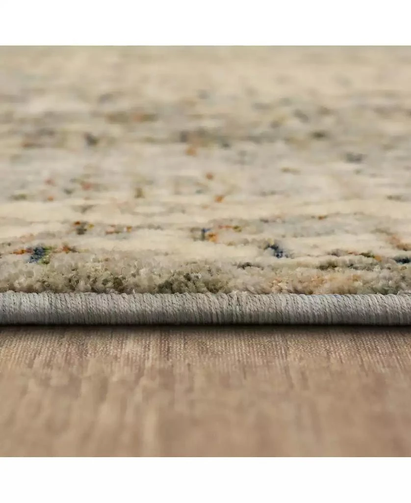 Karastan Divina Bliss 2'6" x 7'10" Runner Area Rug 3