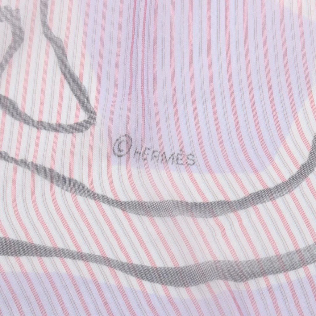 Hermes Color Silk Scarf (Pre-Owned) 2