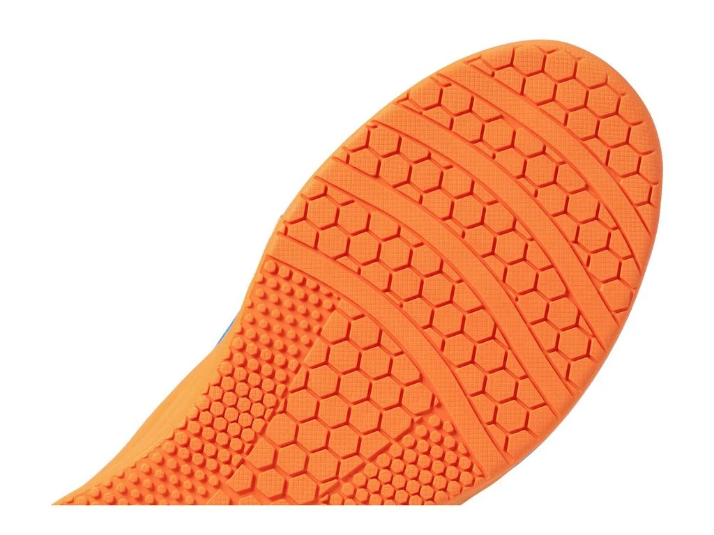 TYR Trainer 6