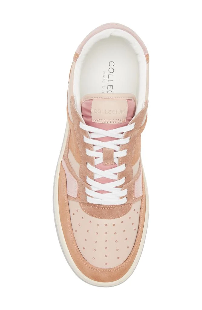 Collegium Alpha Sneaker 5