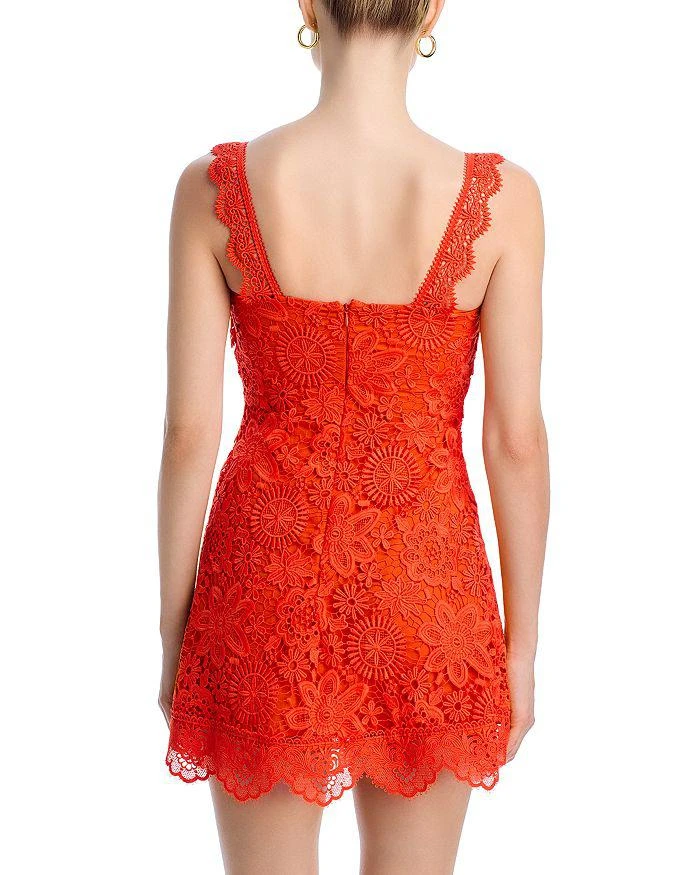 Waimari Trina Lace Dress 4