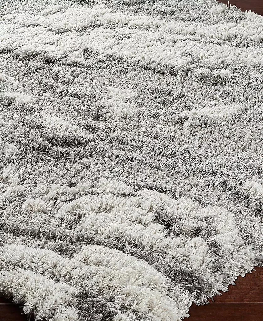 Surya Alta Shag ASG2301 6'7" x 9' Area Rug 2