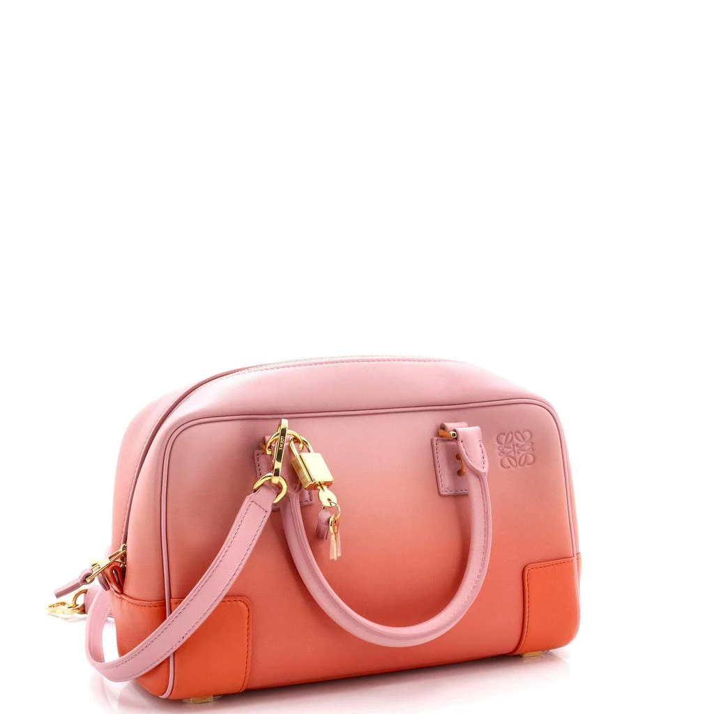 Loewe Amazona Bag Degrade Leather 23 2