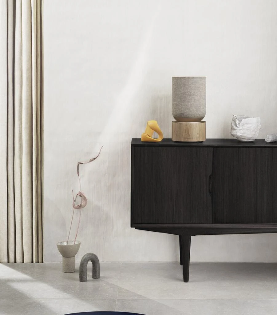 Bang & Olufsen Beosound Balance Speaker 8