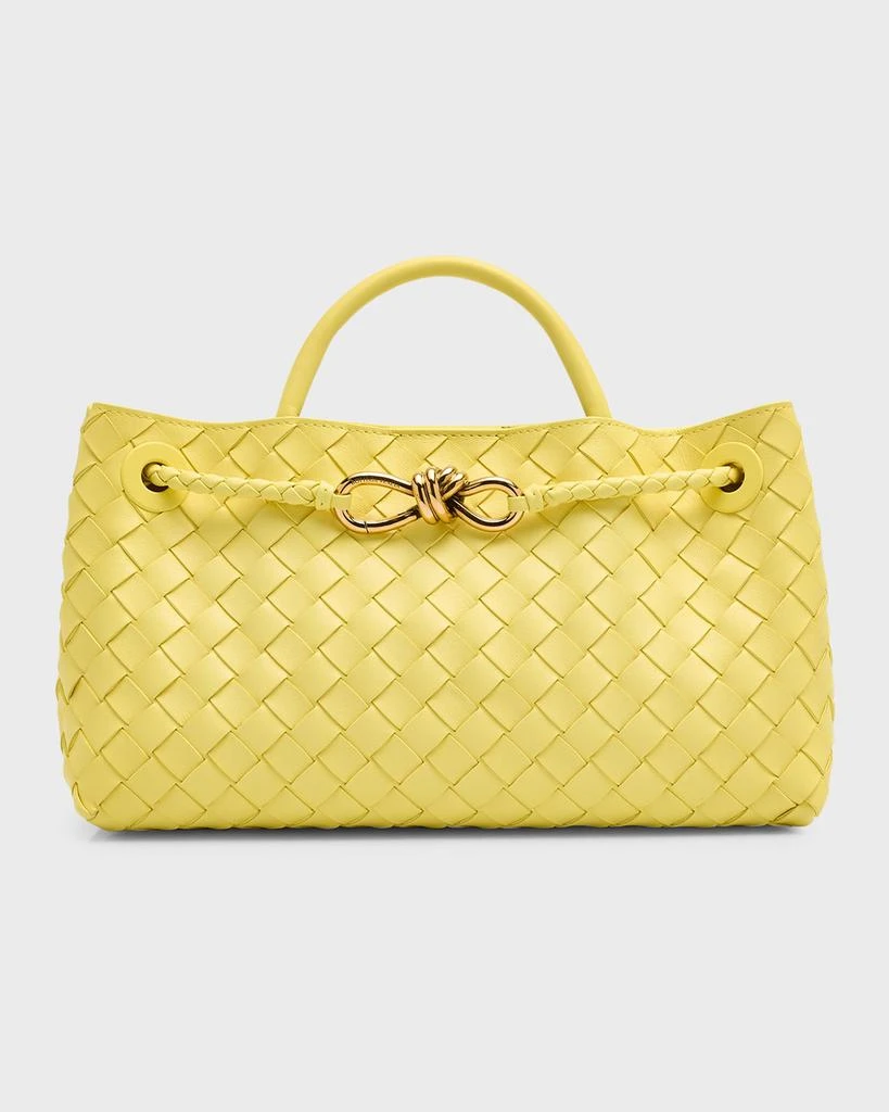Bottega Veneta Small East-West Andiamo Bag 1