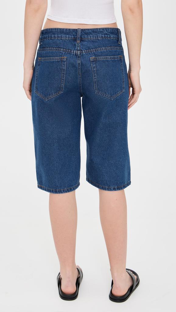 Lioness Kurt Jorts