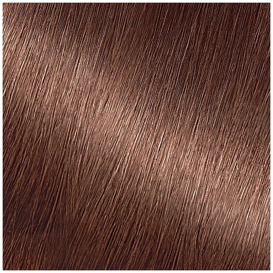 Garnier Nutrisse Nourishing Permanent Color 6