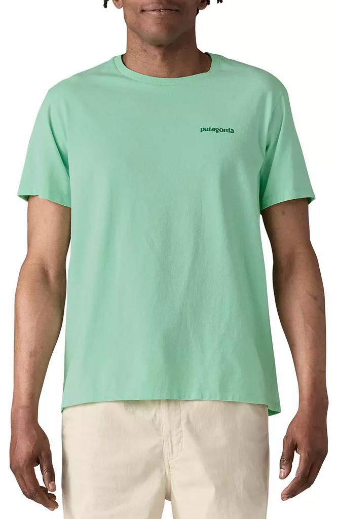 Patagonia Patagonia Adult Fitz Roy Icon Responsibili-Tee T-Shirt