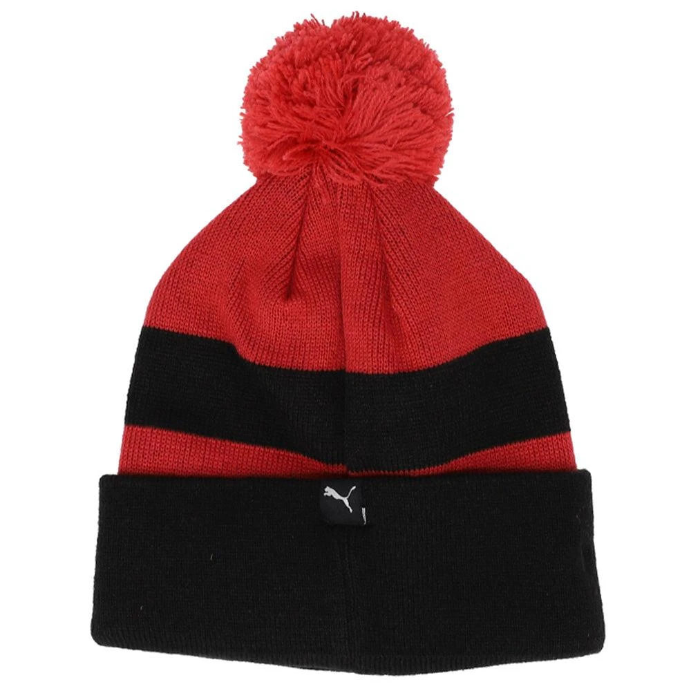 Puma Foxwood Cuff Pom Beanie 2