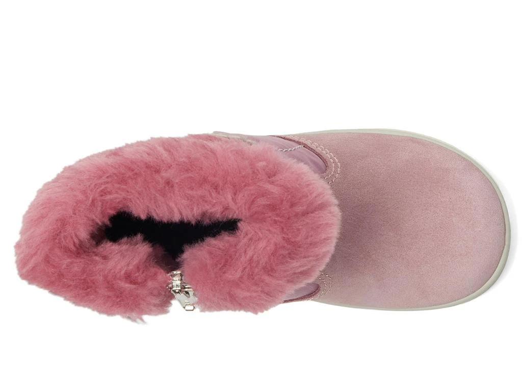 Primigi Kids PSNGT 68501 (Toddler/Little Kid) 2
