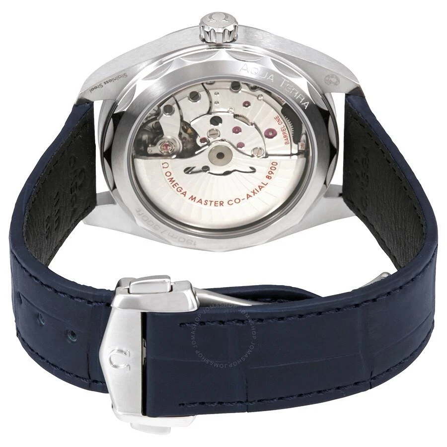 Omega Seamaster Aqua Terra Automatic Men's 41 mm Watch 220.13.41.21.06.001 3