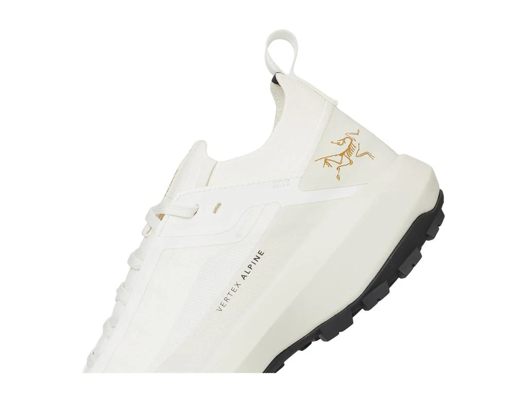 Arc'teryx Vertex Alpine GTX 6