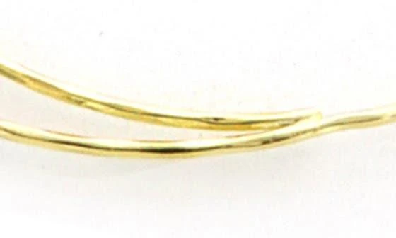 Panacea Double Hoop Earrings 2