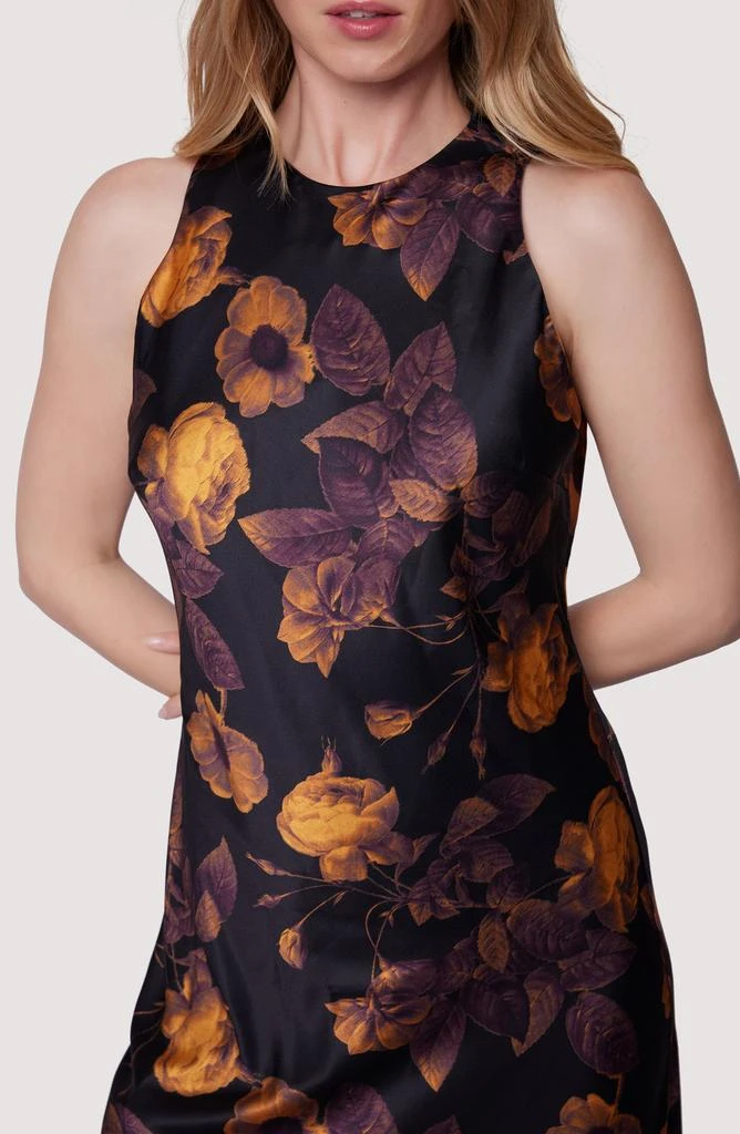 Lost and Wander Jardin De Siene Floral Sleeveless Maxi Dress 4