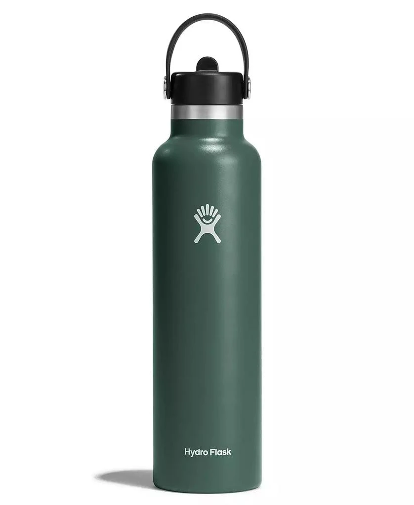 Hydro Flask 24 oz Standard Mouth with Flex Straw Cap 1