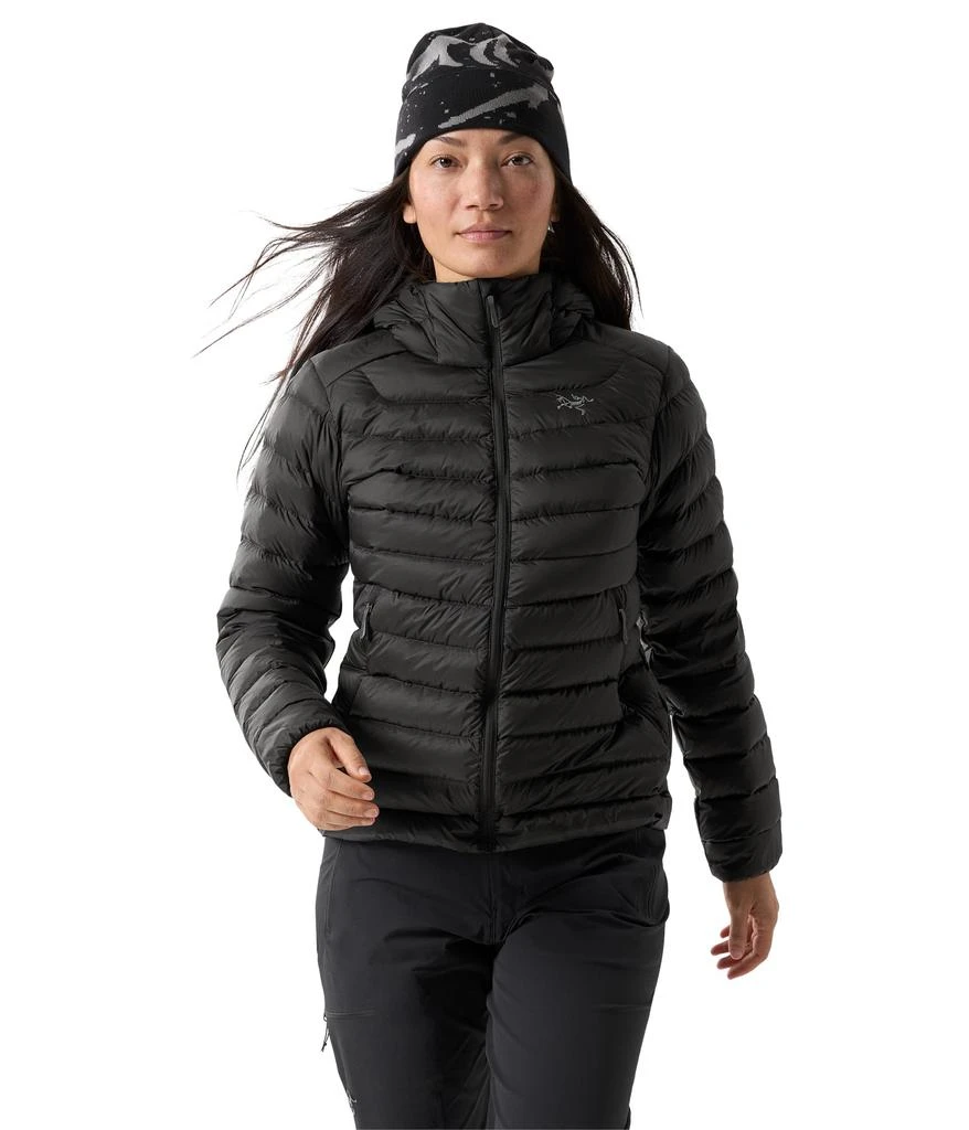 Arc'teryx Cerium Hoody 1