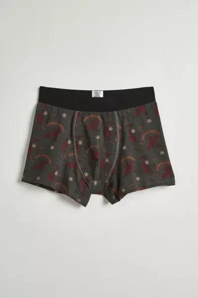 Urban Outfitters Arizona Rodeo Boxer Brief 1