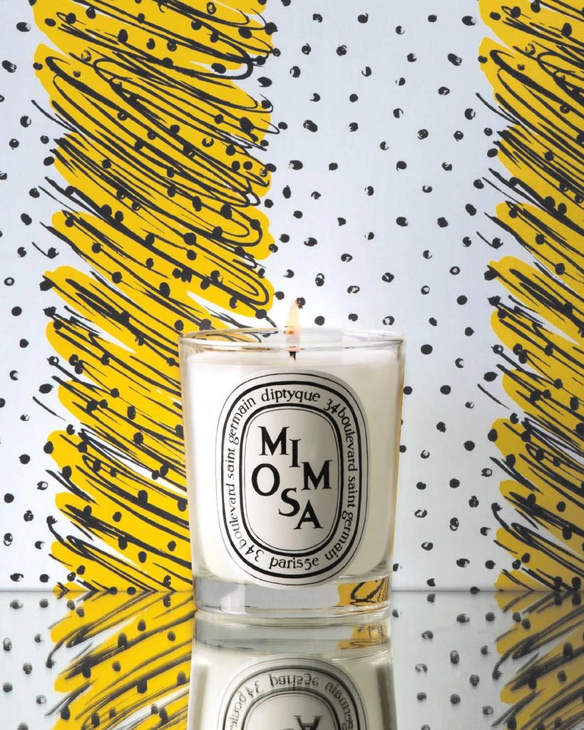 Diptyque Mimosa Scented Candle, 6.5 oz. 2