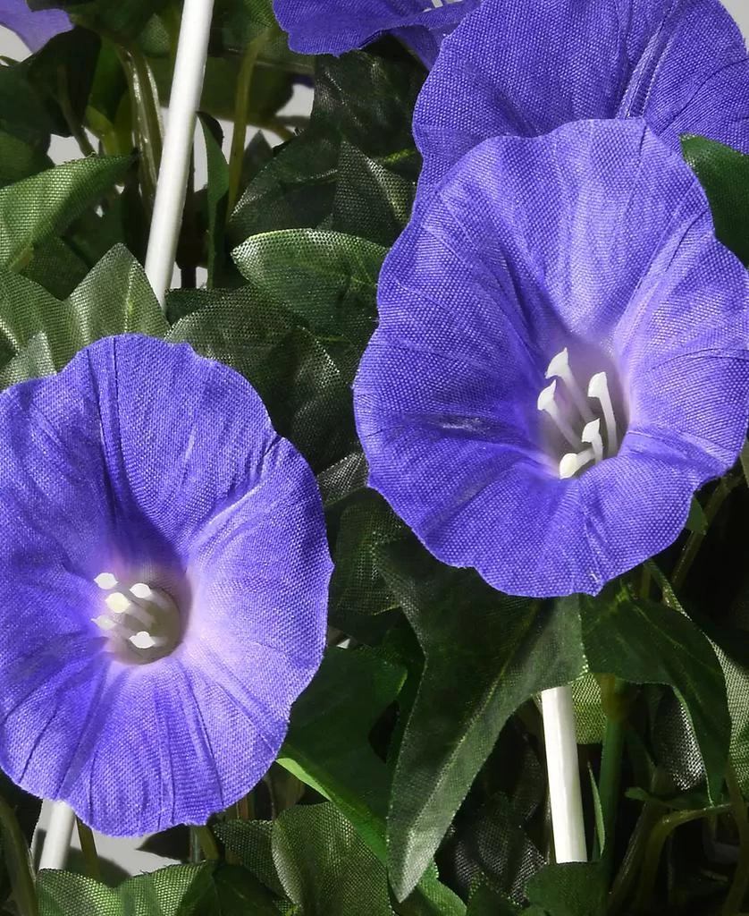 National Tree Company 44 Hanging Morning Glory Plant 5